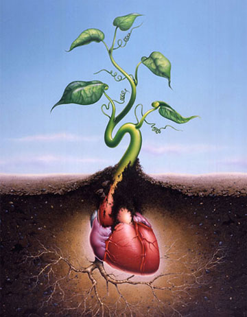 引發(fā)猝死的十個(gè)“傷心”惡習(xí) 讓心臟病發(fā)作