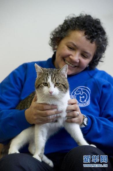 首相府里貓咪拉里