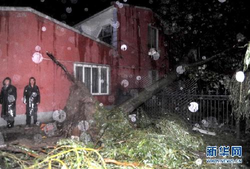 北京極端天氣已致2死6傷