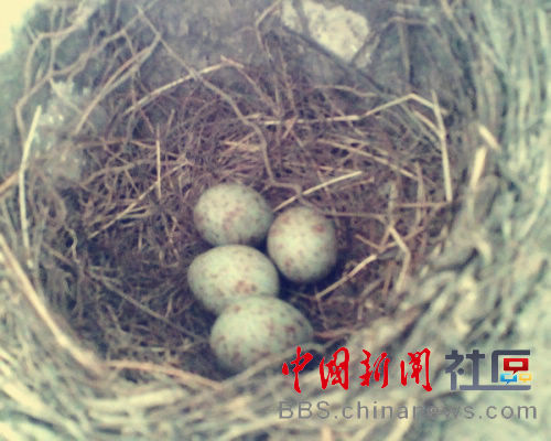 80后童年的冬天是這樣過(guò)的 這些你都做過(guò)嗎？