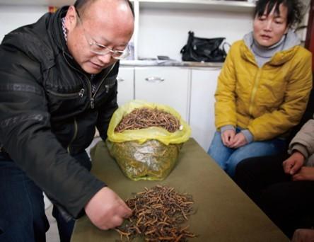 從質(zhì)疑到感動(dòng):打假斗士的極草之旅