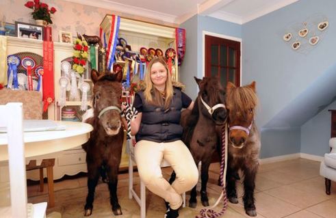 小馬被寵壞 與主人同住室內(nèi)、愛看電視(組圖)