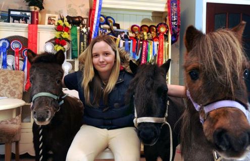 小馬被寵壞 與主人同住室內(nèi)、愛(ài)看電視(組圖)