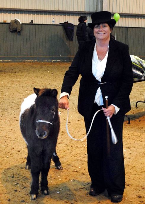 小馬被寵壞 與主人同住室內(nèi)、愛看電視(組圖)