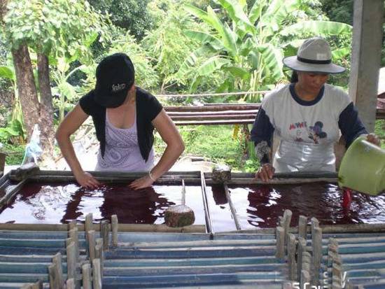 盤點(diǎn)動(dòng)物糞便的奇妙用途