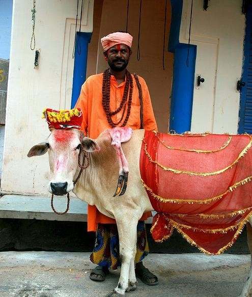 盤點(diǎn)動(dòng)物糞便的奇妙用途