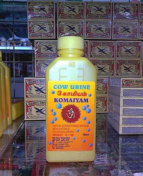 盤點(diǎn)動物糞便的奇妙用途