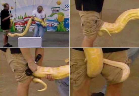 盤點直播節(jié)目的失控瞬間