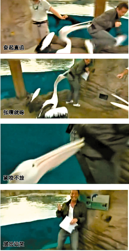 盤(pán)點(diǎn)直播節(jié)目的失控瞬間