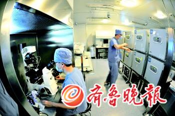 試管嬰兒想做就做？不孕不育治療亂象堪憂