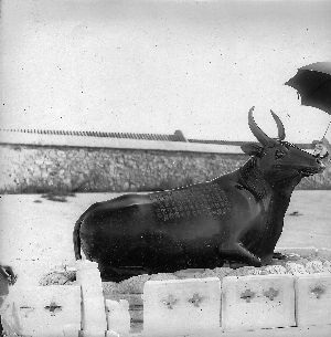 頤和園的牛尾巴斷而復續(xù) 組圖