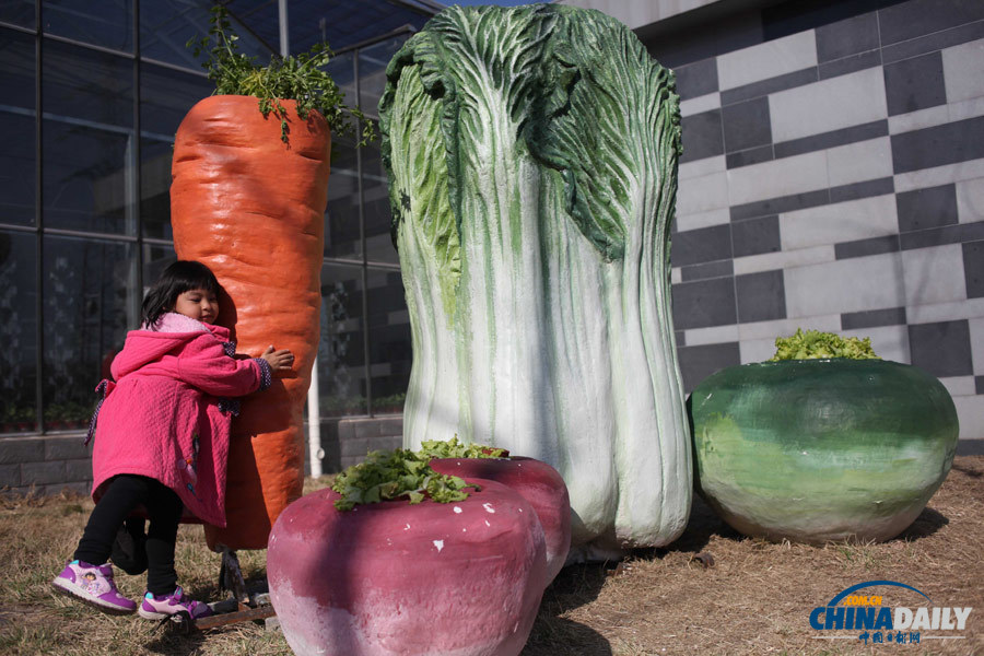首屆“北京農(nóng)業(yè)嘉年華”活動舉行