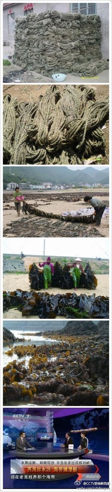 張召忠舉例證“海帶纏潛艇”:近海作戰(zhàn)偏方治大病