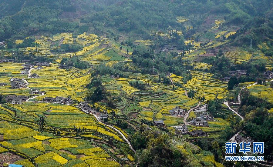 四川雅安蘆山縣地震 初步估計傷亡上百人