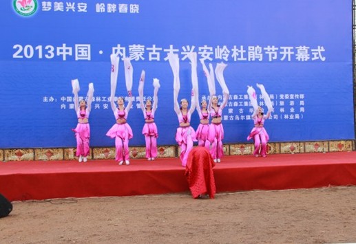 2013中國(guó)·內(nèi)蒙古大興安嶺杜鵑節(jié)開幕