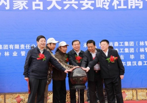 2013中國(guó)·內(nèi)蒙古大興安嶺杜鵑節(jié)開幕