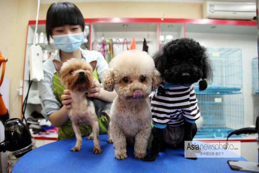 中國日報一周圖片精選：5月11日—17日