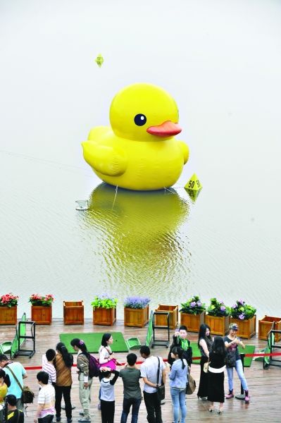 大黃鴨設(shè)計者斥抄襲愚蠢:內(nèi)地版全是山寨