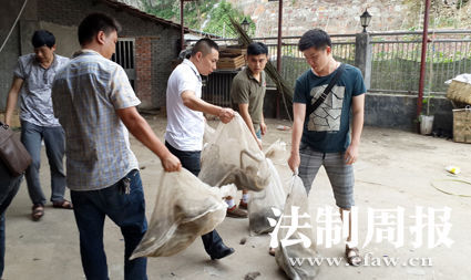 岳陽(yáng)日均吃蛇2千斤遭圍觀 揭秘非法經(jīng)營(yíng)窩點(diǎn)（組圖）