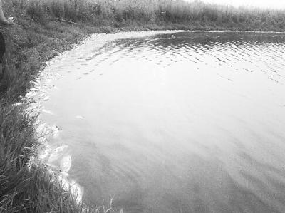 武漢河垴因龍卷風(fēng)停電 魚缺氧死亡致?lián)p失逾百萬