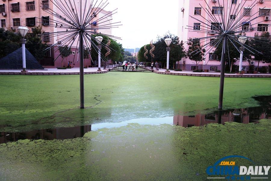 “秋老虎”發(fā)威 致吐魯番人工湖成“綠湖”