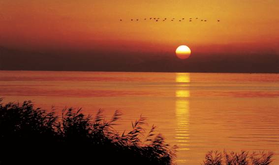 “吐魯番的葡萄熟了”2013中國重點(diǎn)旅游網(wǎng)絡(luò)媒體游新疆活動啟動