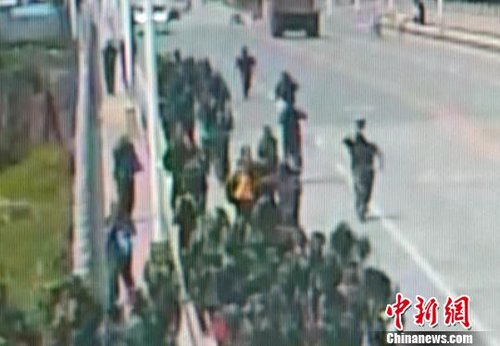 廣西一中學(xué)師生軍訓(xùn)返校遭馬蜂襲擊 57人被蜇傷