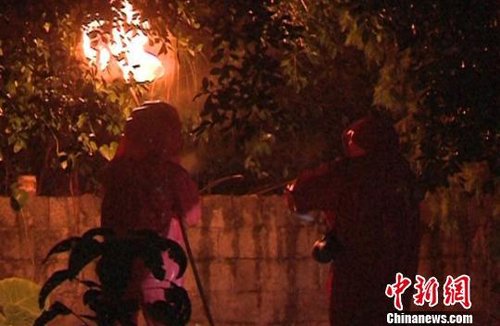 廣西一中學(xué)師生軍訓(xùn)返校遭馬蜂襲擊 57人被蜇傷
