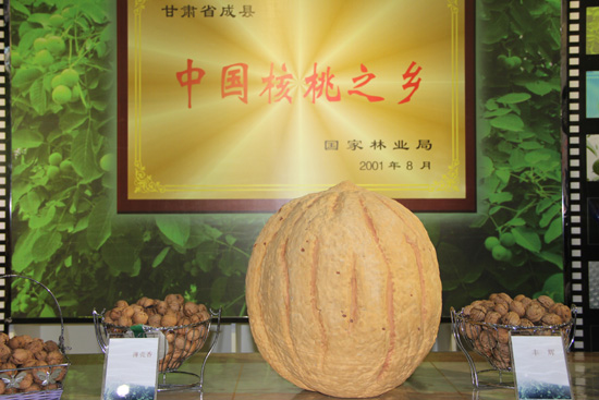 甘肅隴南成縣利用網(wǎng)絡(luò)新媒體推介做強核桃產(chǎn)業(yè) 促進農(nóng)民增收