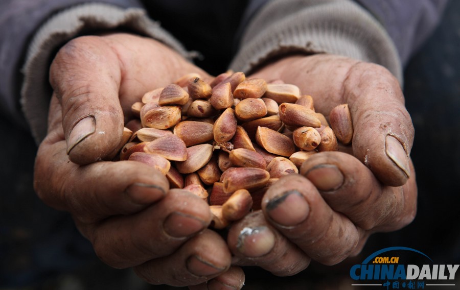 圖片故事：原始森林“跑山人”