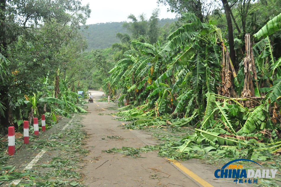 強(qiáng)臺(tái)風(fēng)