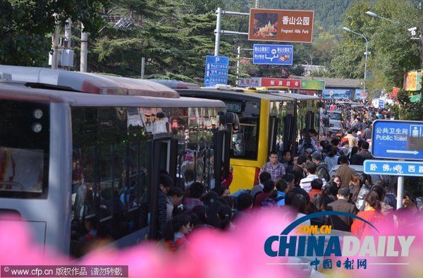 北京:香山紅葉迎來(lái)賞紅高峰 停車(chē)場(chǎng)8點(diǎn)就滿(mǎn)了