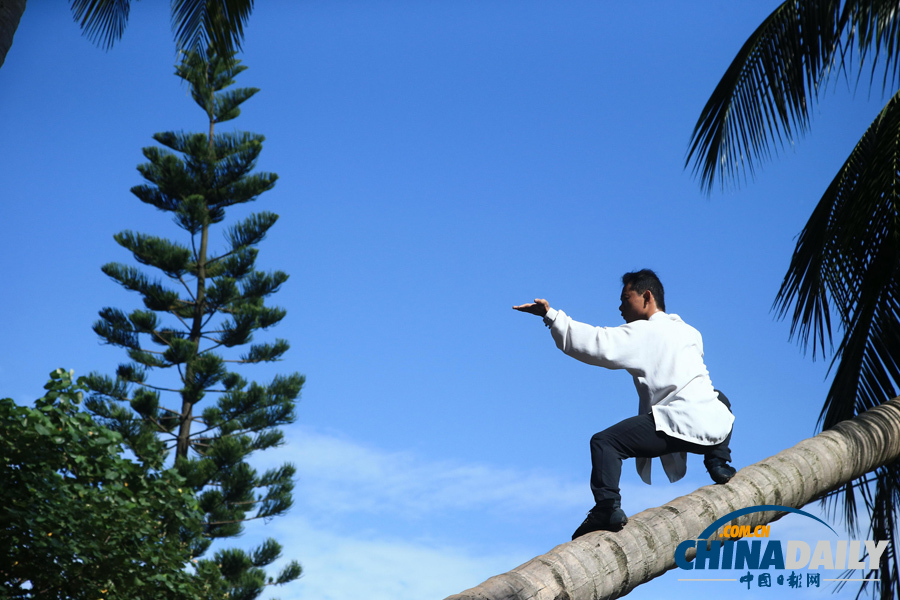 海南驚現(xiàn)椰子樹上練武功“神人”