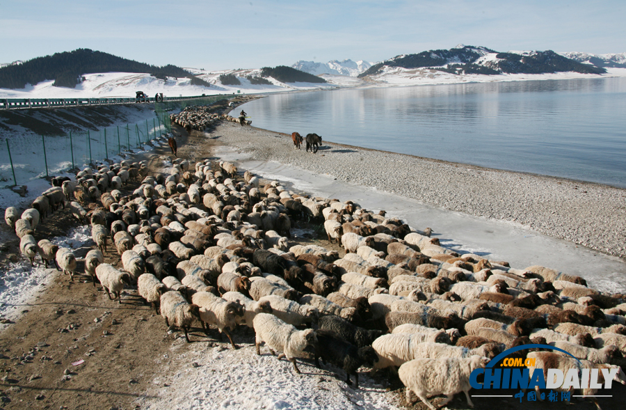 中國(guó)日?qǐng)?bào)一周圖片精選：11月16日——22日