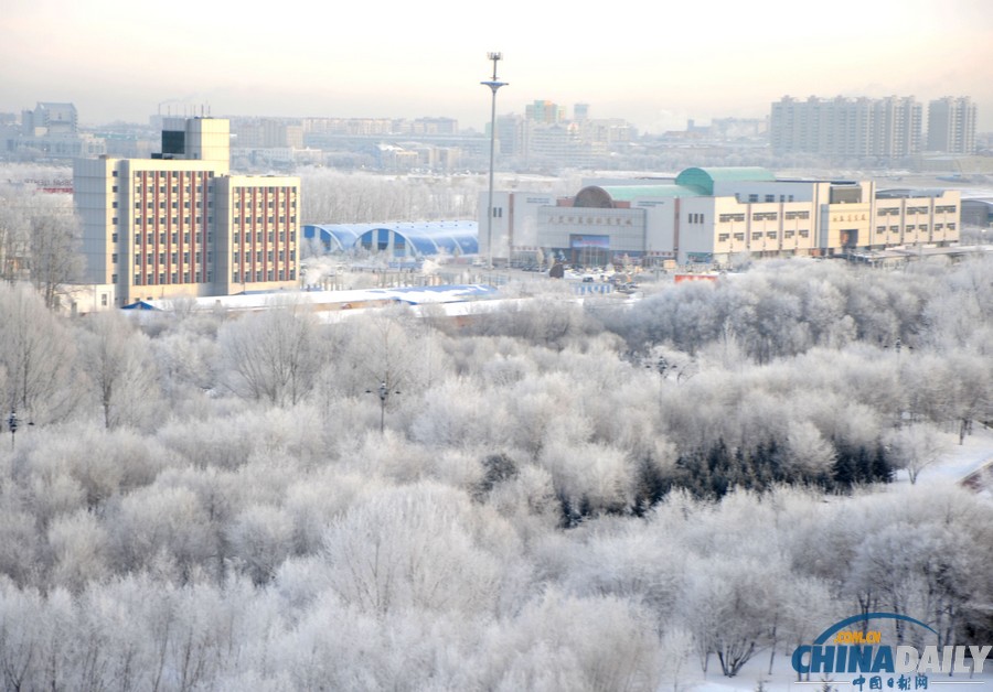 黑龍江黑河現(xiàn)綿延數(shù)公里霧凇美景
