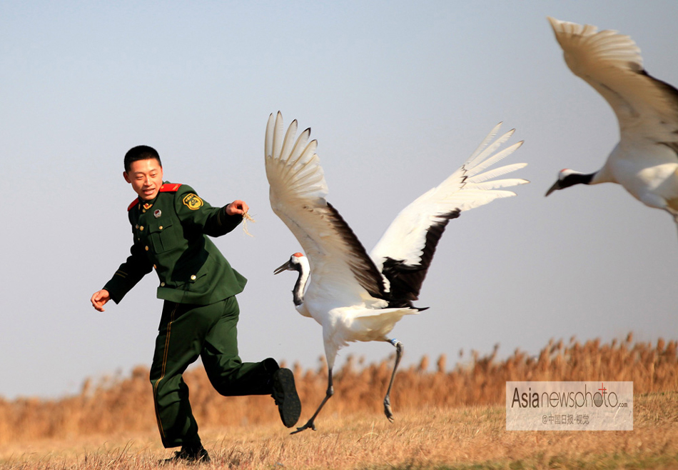 中國日報(bào)一周圖片精選：12月7日—13日