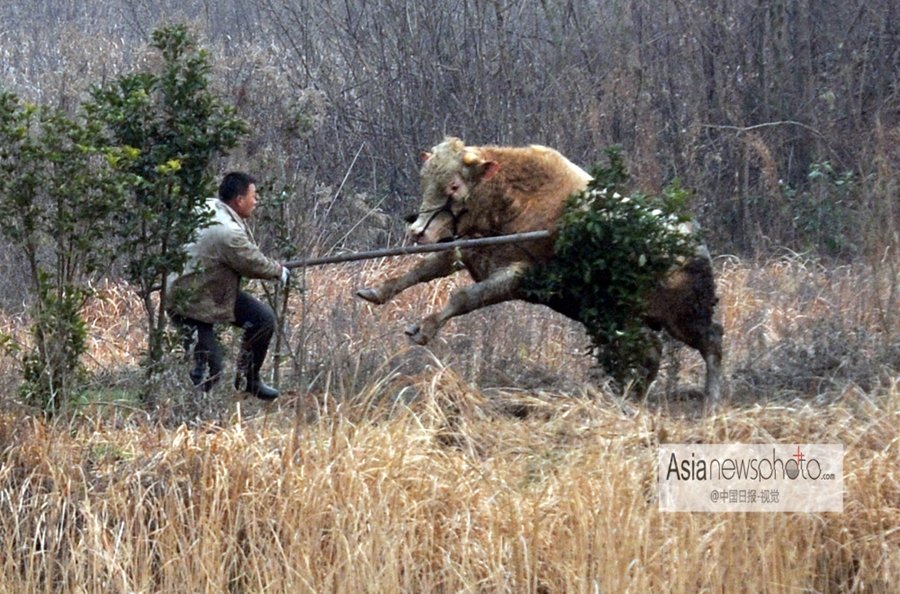 中國(guó)日?qǐng)?bào)一周圖片精選：12月14日—20日