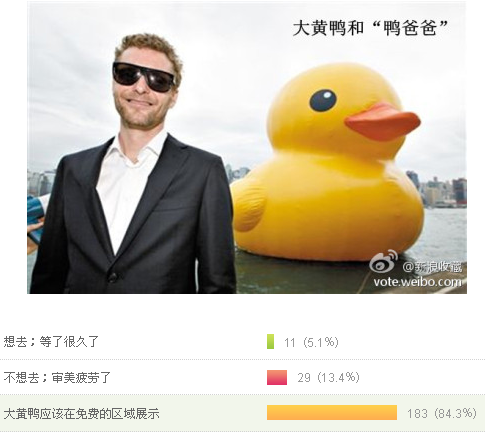8成網(wǎng)友認為大黃鴨應該免費展示