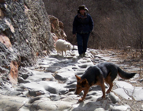 門頭溝舉辦第五屆北京旅游山會(huì)開(kāi)山門儀式暨國(guó)家步道高峰論壇