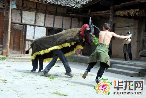 重慶5項(xiàng)目入選國家非遺 看不了斗牛來看