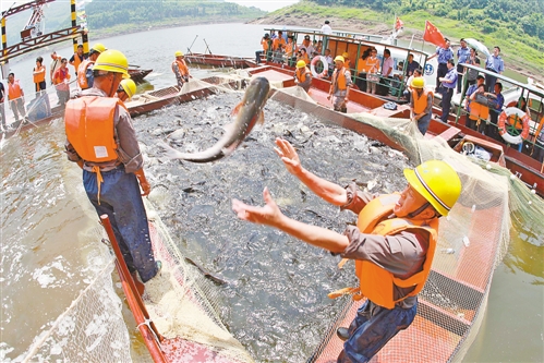 新常態(tài)下，尋求農(nóng)業(yè)發(fā)展方式新轉(zhuǎn)變