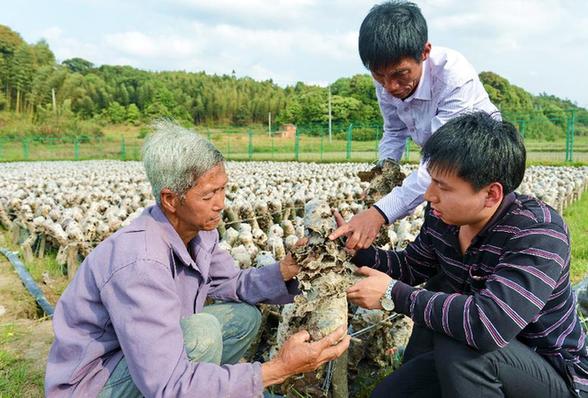 福州:治理畜養(yǎng)污染 發(fā)展生態(tài)農(nóng)業(yè)