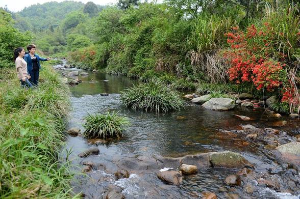 福州:治理畜養(yǎng)污染 發(fā)展生態(tài)農(nóng)業(yè)