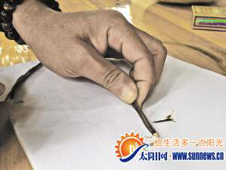 千年古木引四五百人前來(lái)觀賞 有人叫價(jià)八十萬(wàn)收購(gòu)