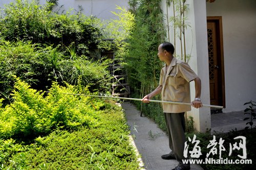 三坊七巷長(zhǎng)蛇出沒 “捕蛇王”兩度抓捕未果