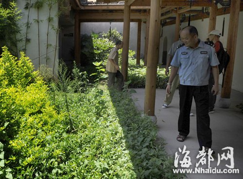 三坊七巷長(zhǎng)蛇出沒 “捕蛇王”兩度抓捕未果