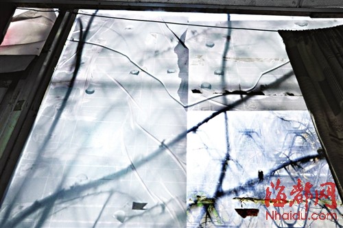 福州臺江農(nóng)貿(mào)市場常遭氣槍擊 18厘厚玻璃布滿彈孔肇事者成謎