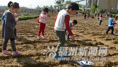 180個(gè)家庭種4千平方米油菜花 南江濱春節(jié)現(xiàn)花海
