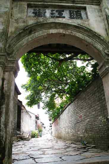 廣西南寧楊美村:一個傳統(tǒng)村莊的美麗致富路