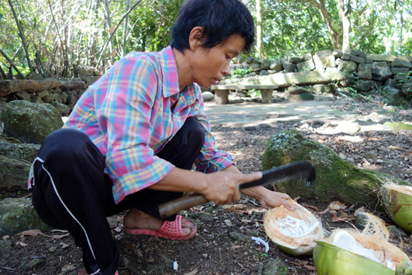 海南文明生態(tài)村巡禮之二——特色道路助推農(nóng)民致富
